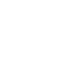 magnifier icon