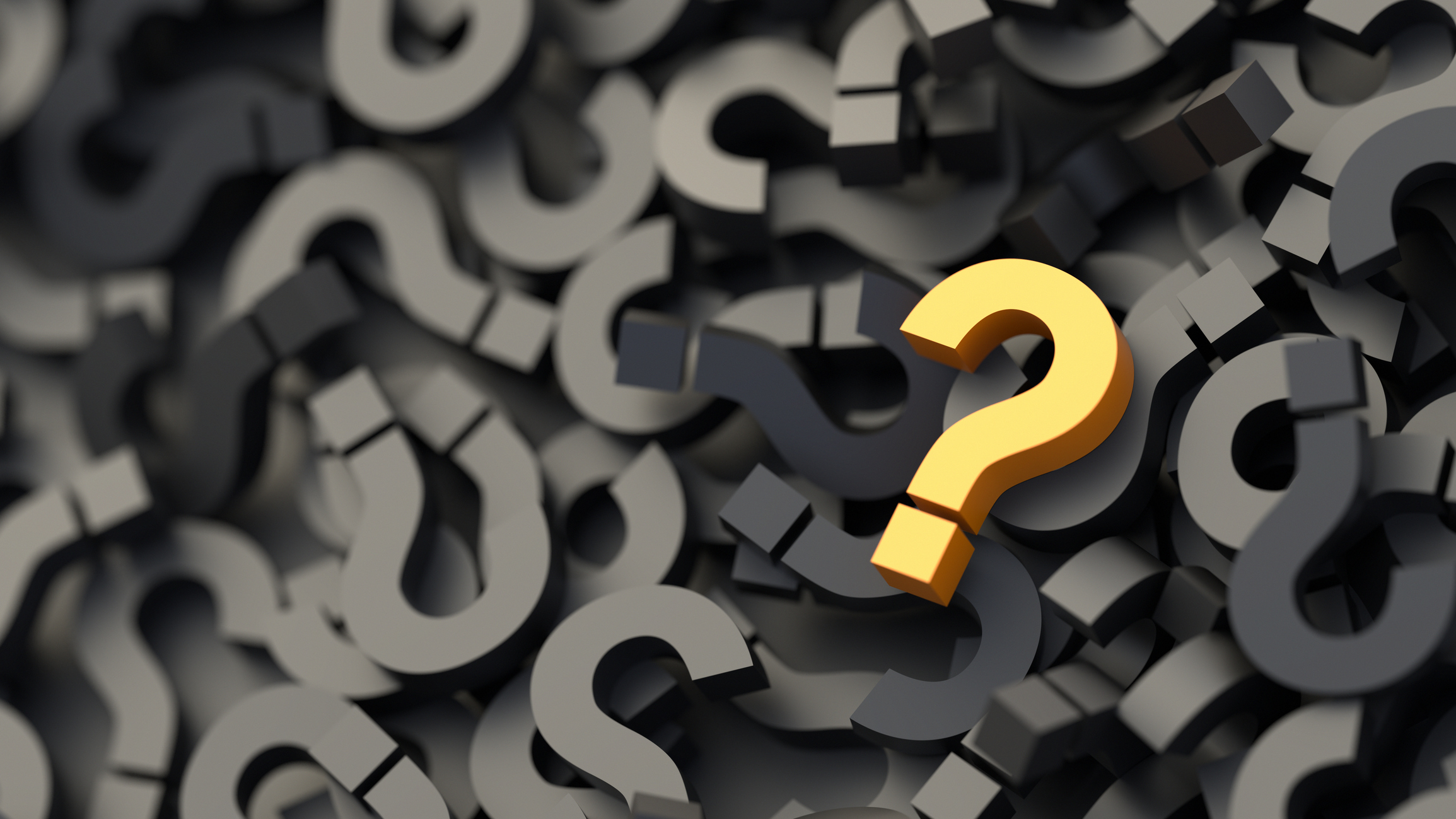 The Questions We Ask Ourselves: Beautiful Impact and Organisational Conscience